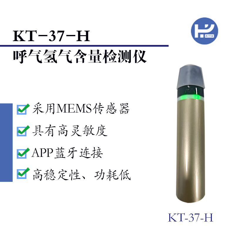 KT-37-H氫氣含（hán）量檢測儀